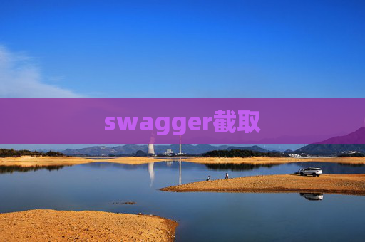 swagger截取